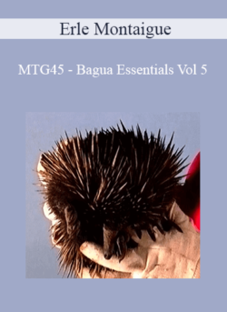 Erle Montaigue - MTG45 - Bagua Essentials Vol 5