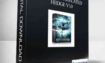 Flex EA Correlated Hedge V1.02