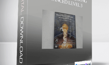 Grandmaster Doo Wai - Flying Phoenix Qigong Advanced Level 3