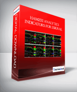 Hamzei Analytics Indicators for eSignal (hamzeianalytics.com)