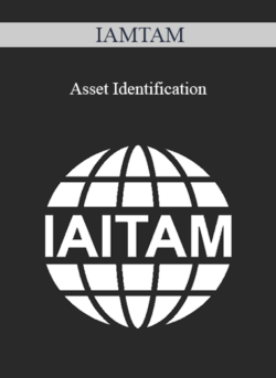 IAMTAM - Asset Identification