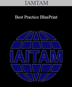 IAMTAM - Best Practice BluePrint