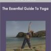 IMC Vision - The Essential Guide To Yoga