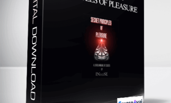 IN10SE - Secret Principles Of Pleasure