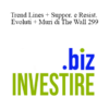 Investire.biz - Trend Lines + Suppor. e Resist. Evoluti + Muri di The Wall 299