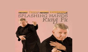 James McNeil - Splashing Hands Kung Fu