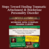 Janina Fisher - Steps Toward Healing Traumatic Attachment & Borderline Personality Disorder