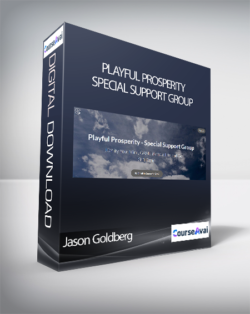 Jason Goldberg - Playful Prosperity - Special Support Group