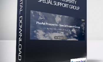 Jason Goldberg - Playful Prosperity - Special Support Group