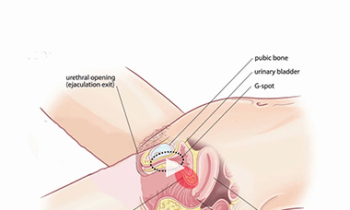 Jean-Marie Corda - Erotic Massage