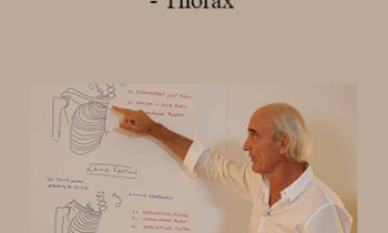 Jean-Pierre Barral - Advanced Visceral Manipulation - Thorax