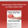 Jerome Quellier - Addressing Patient Behavior by Brain Lesion Site