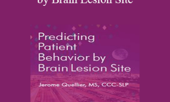 Jerome Quellier - Predicting Patient Behavior by Brain Lesion Site