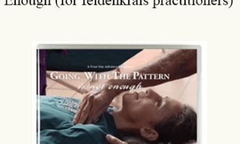 Jerry Karzen - Going With the Pattern Is Not Enough (for feldenkrais practitioners)
