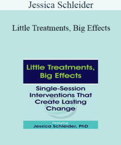 Jessica Schleider - Little Treatments