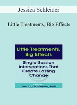 Jessica Schleider - Little Treatments