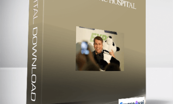 Jimmy Kelley – SEO Traffic Hospital