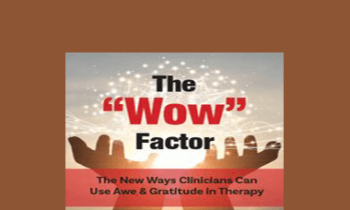 Jonah Paquette - The “Wow” Factor: The New Ways Clinicians Can Use Awe and Gratitude in Therapy