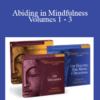 Joseph Goldstein - Abiding in Mindfulness Volumes 1 - 3