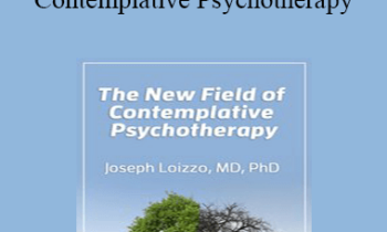 Joseph Loizzo - The New Field of Contemplative Psychotherapy