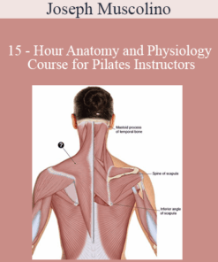 Joseph Muscolino - 15 - Hour Anatomy and Physiology Course for Pilates Instructors