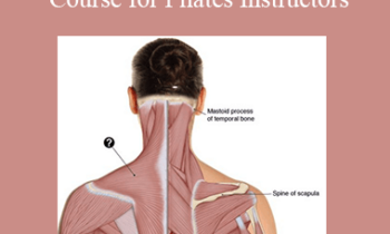 Joseph Muscolino - 15 - Hour Anatomy and Physiology Course for Pilates Instructors