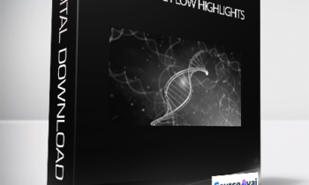 Joseph Riggio & Al Ridenhour - Generative Flow Highlights