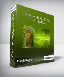Joseph Riggio - Hacking Perception - The Series