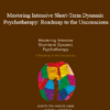 Josette ten Have-de Labije & Robert J. Neborsky - Mastering Intensive Short-Term Dynamic Psychotherapy: Roadmap to the Unconscious