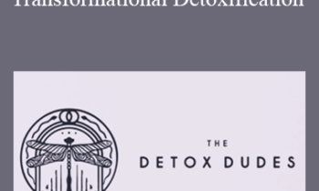 Josh Macin - Detox Dudes - The Transformational Detoxification Masterclass ( 2019 )