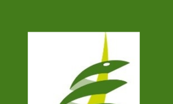 K. Turner Slicho - Osteopathy and Pain