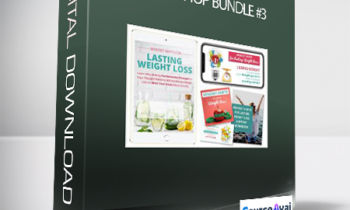 Karen Pattock – Workshop Bundle #3 (Mindset Shift