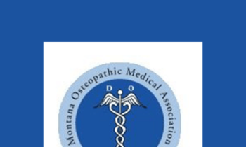 Kelsey Hoffman - Common Sports Injuries