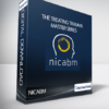 NICABM – The Treating Trauma Master Series