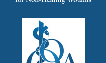 Laura Jane Holsey - How to Fix a Ditch: A Guide for Non-Healing Wounds