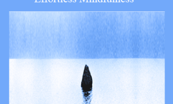 Loch Kelly - Effortless Mindfulness