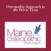 Margo Goodman - Osteopathic Approach to the Pelvic Floor