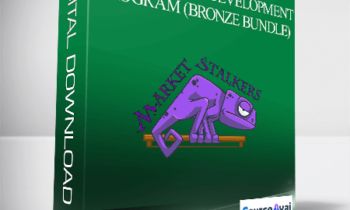 Marketstalkers - Professional Development Program (BRONZE Bundle)
