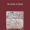 Mary T. Johnson - The Brain in Detail