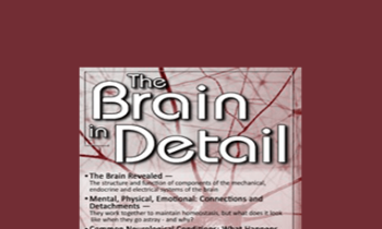Mary T. Johnson - The Brain in Detail