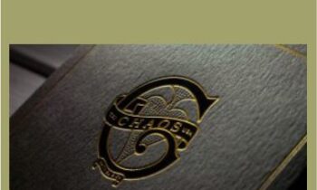 Mathieu Bich - Chaos