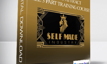 Men Who Attract - (David Tee) - FREE 3 Part Training Course