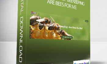 Michael Jordan - The Systems of Beekeeping - Are Bees for Me