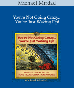 Michael Mirdad - You're Not Going Crazy...You're Just Waking Up!