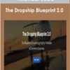 Michael Saba  - The Dropship Blueprint 2.0