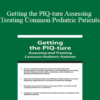 Michelle Fryt Linehan - Getting the PIQ-ture Assessing and Treating Common Pediatric Patients