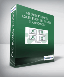 Microsoft Excel - Excel from Beginner to Advanced
