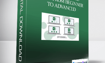 Microsoft Excel - Excel from Beginner to Advanced