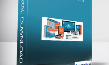 Mike Koenigs – Consult and Profit