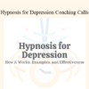 Milton H. Erickson - Hypnosis for Depression Coaching Calls